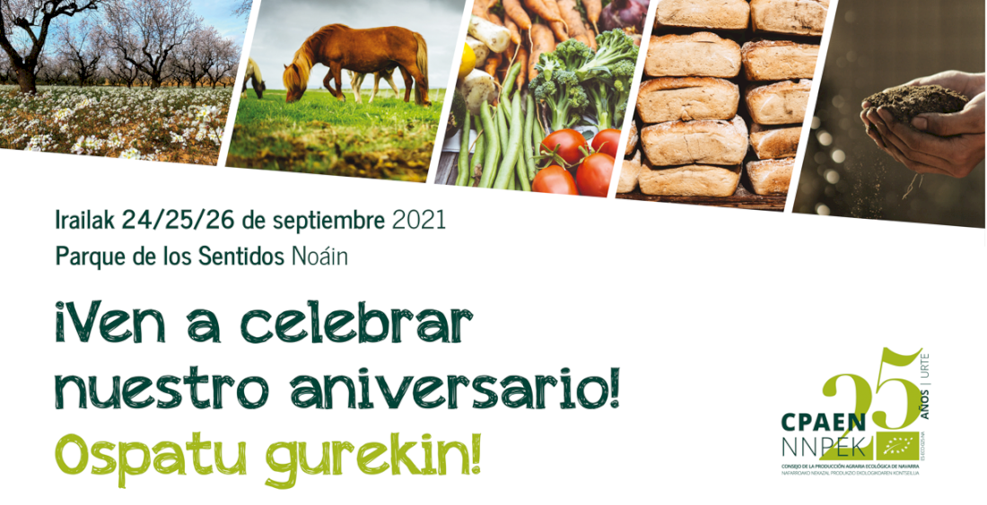 portada-newsletter-2.png